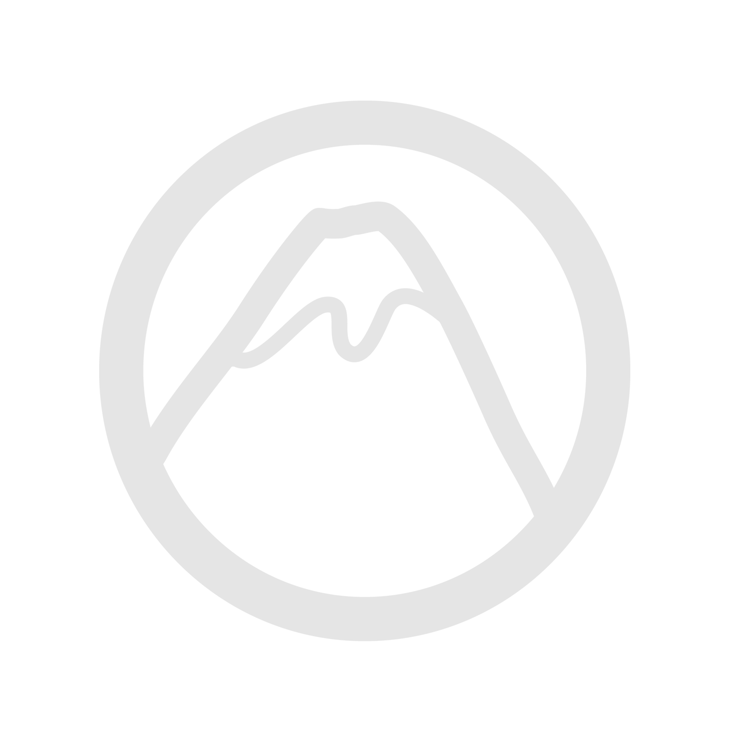 Pack Converter (Covertor), L