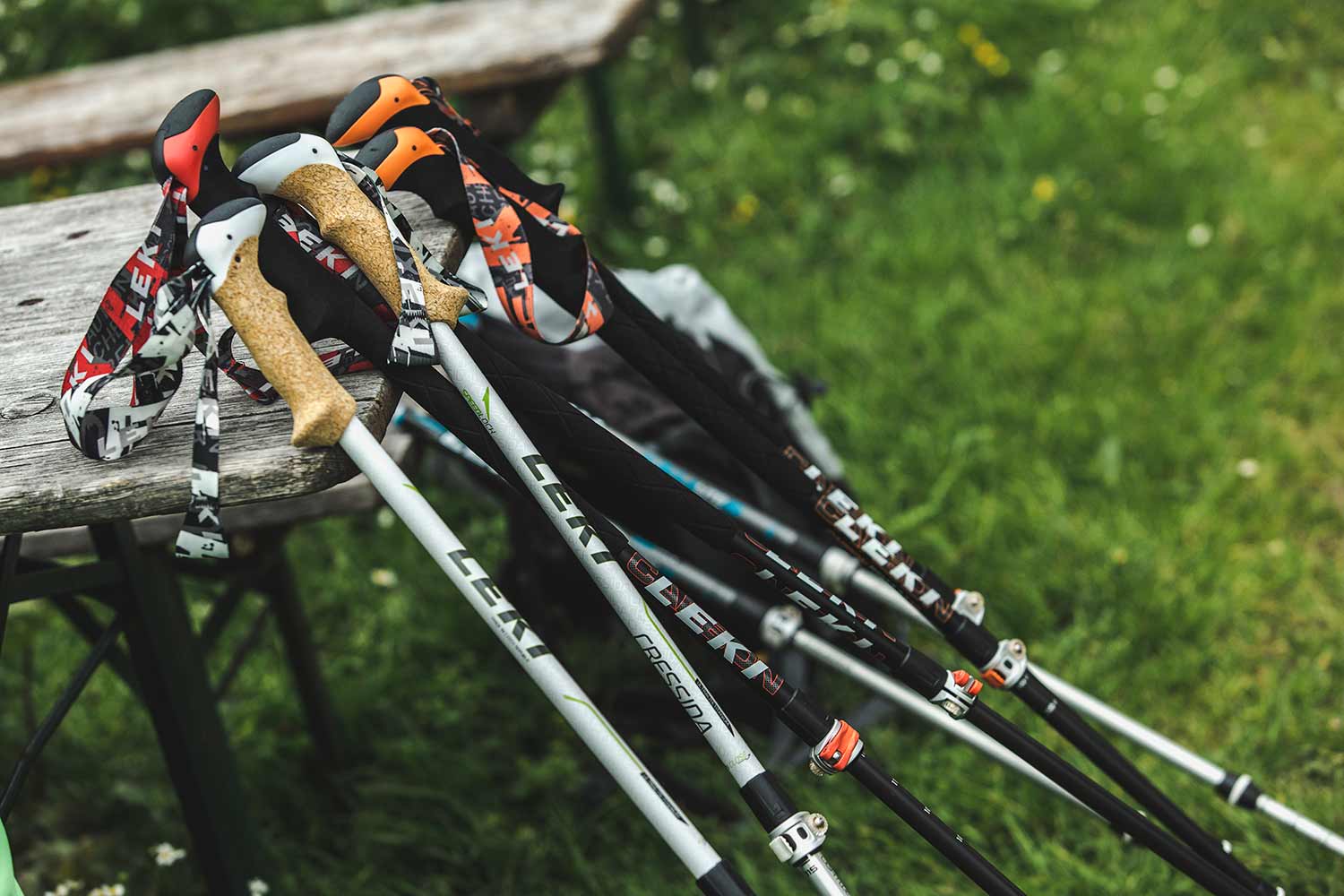 Cómo elegir bastones de trekking? - Blog La Cumbre