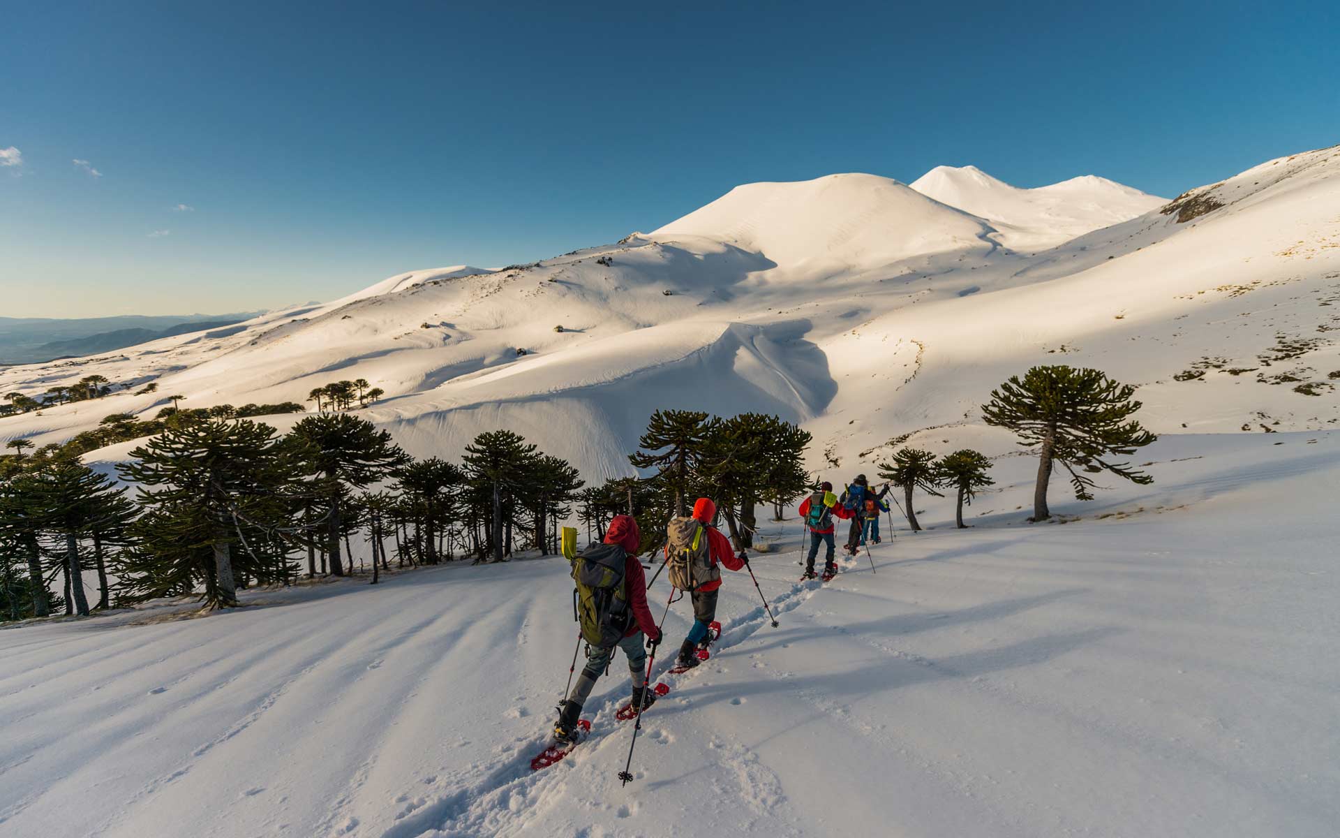 Características de las raquetas de nieve - Blog La Cumbre